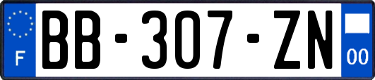 BB-307-ZN