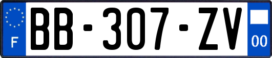 BB-307-ZV