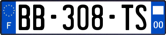 BB-308-TS