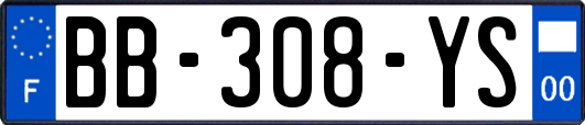 BB-308-YS