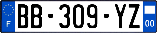 BB-309-YZ