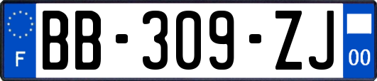 BB-309-ZJ