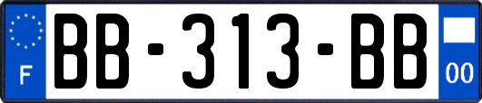 BB-313-BB