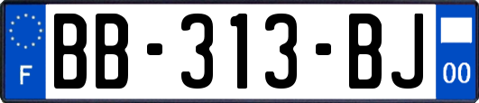 BB-313-BJ