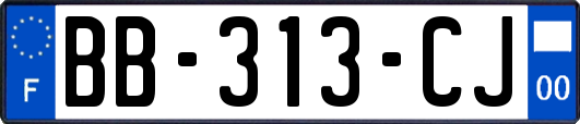 BB-313-CJ