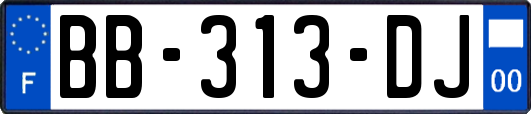 BB-313-DJ