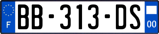 BB-313-DS