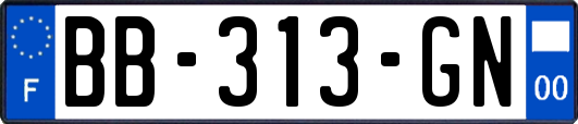 BB-313-GN