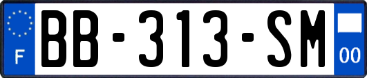 BB-313-SM