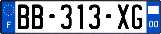 BB-313-XG