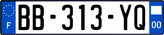 BB-313-YQ