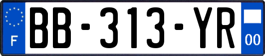 BB-313-YR