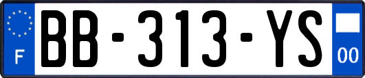 BB-313-YS