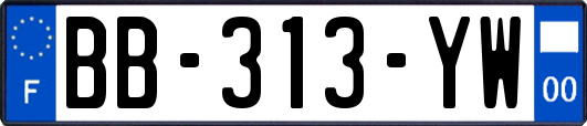 BB-313-YW