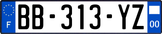 BB-313-YZ