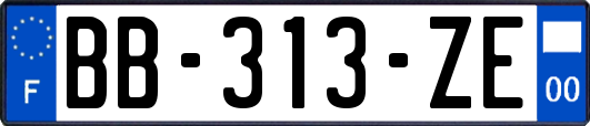 BB-313-ZE