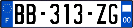BB-313-ZG