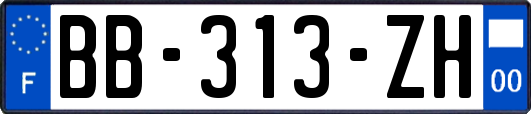 BB-313-ZH