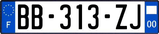 BB-313-ZJ