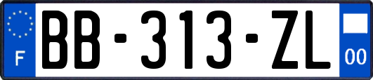 BB-313-ZL