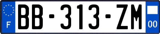 BB-313-ZM