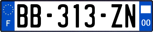 BB-313-ZN