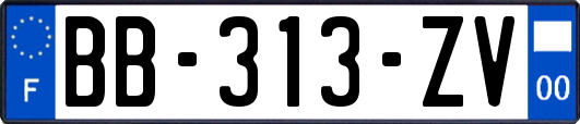 BB-313-ZV