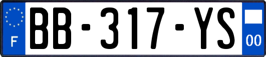 BB-317-YS