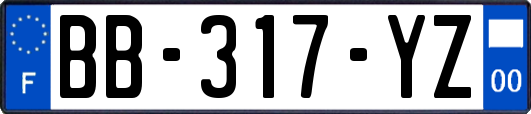 BB-317-YZ