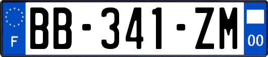 BB-341-ZM