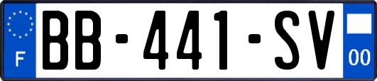 BB-441-SV