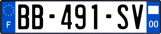 BB-491-SV