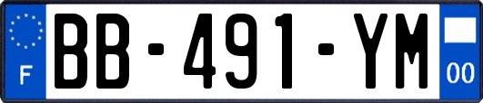 BB-491-YM