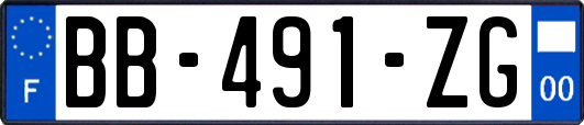 BB-491-ZG