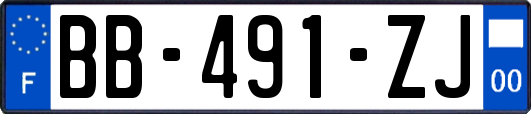 BB-491-ZJ