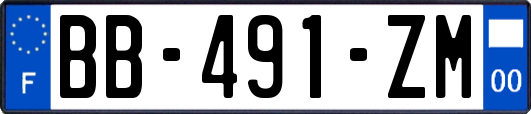 BB-491-ZM