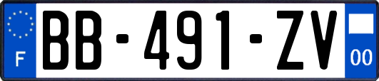 BB-491-ZV