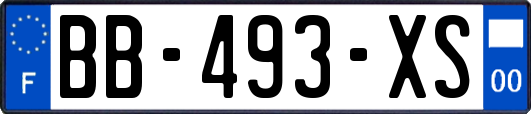 BB-493-XS