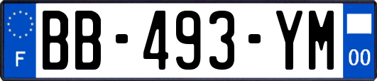 BB-493-YM