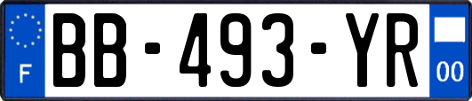 BB-493-YR