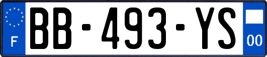 BB-493-YS