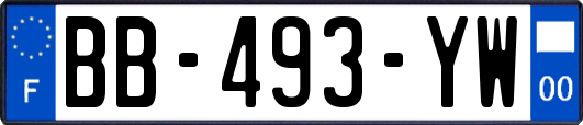 BB-493-YW