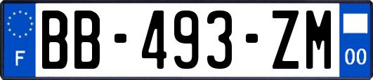 BB-493-ZM