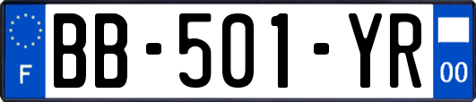 BB-501-YR