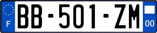 BB-501-ZM