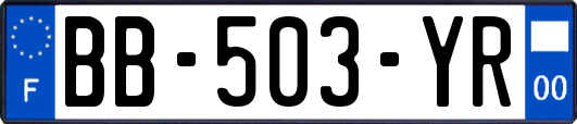 BB-503-YR