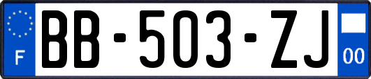 BB-503-ZJ