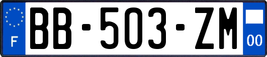 BB-503-ZM