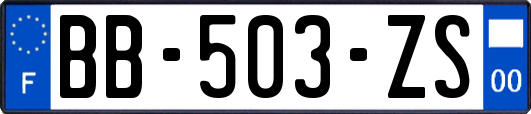 BB-503-ZS