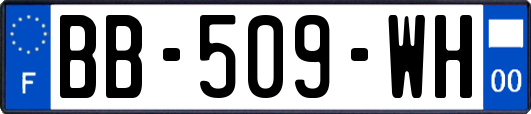 BB-509-WH